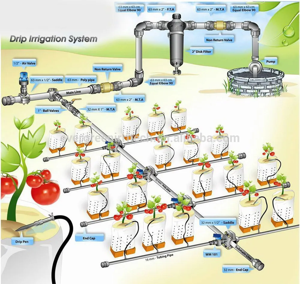 Smart Water Irrigation — Pipeline Network Design photo 2